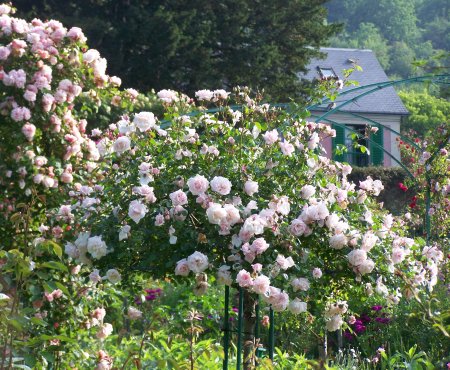 Giverny, Rosengarten