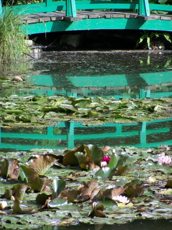  Giverny Le Pont japonais de Claude Monet,  Photo Ariane Cauderlier
